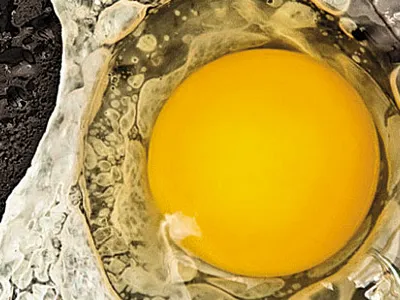 an egg