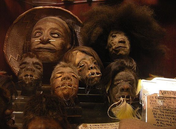 20130320124035800px-Seattle_-_Curiosity_Shop_-_shrunken_heads_02A.jpg