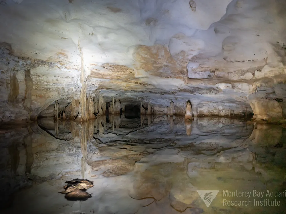 Staring into the mouth of flooded cave passages on the islands of the Turks and Caicos. Hidden cave pools are illuminated by dive lights and photo flash. (Joost Daniels, Monterey Bay Aquarium Research Institute) 