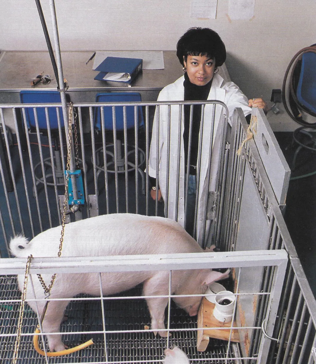 Lead author Candace Croney wears a lab coat and stands at the corner of the test pen. A pink pig stands in the test pen.