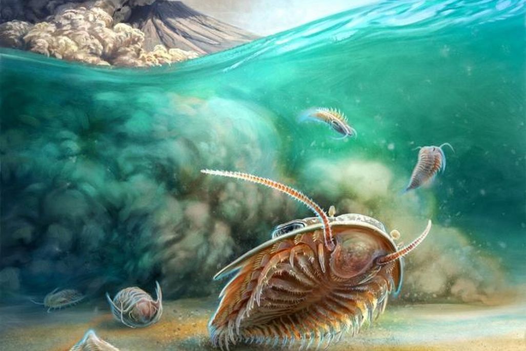 illustrated trilobites of two species swim as a cloud of volcanic ash approaches from a distant peak