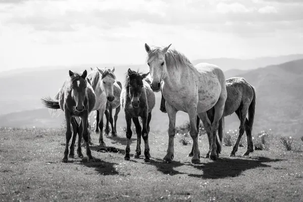 Family portrait thumbnail