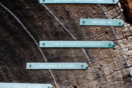 This cross section of a sequoia in Yosemite National Park in California has markers identifying the dates of tree rings.