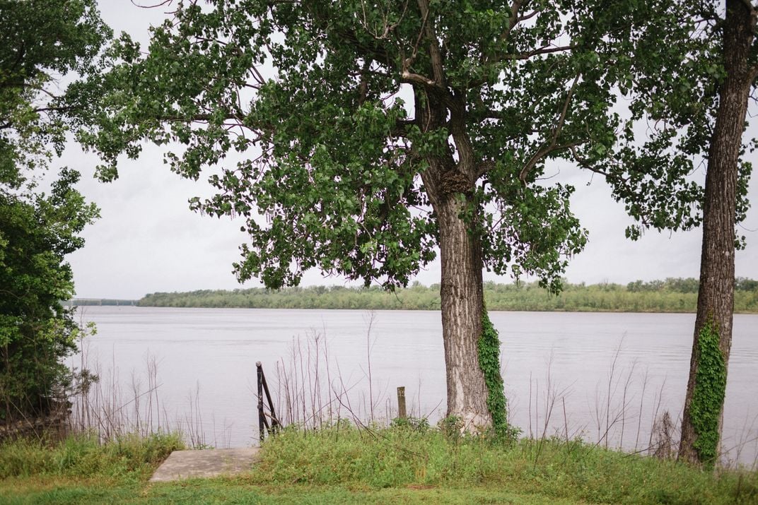 trees and grass at the edge of the Arkansas River