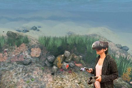Stanford's Ocean Acidification Experience uses virtual reality to help people understand in a uniquely personal way the long-term effects of climate change.