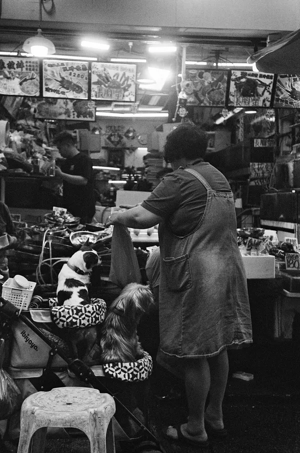 Woman and two dogs. thumbnail