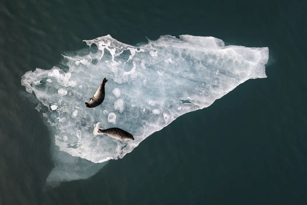 Above the Ice by Fabien Guittard
