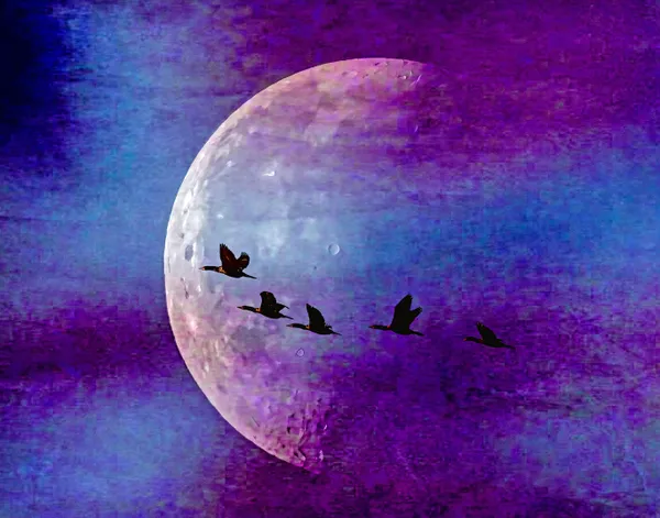 Fly me to the Moon thumbnail