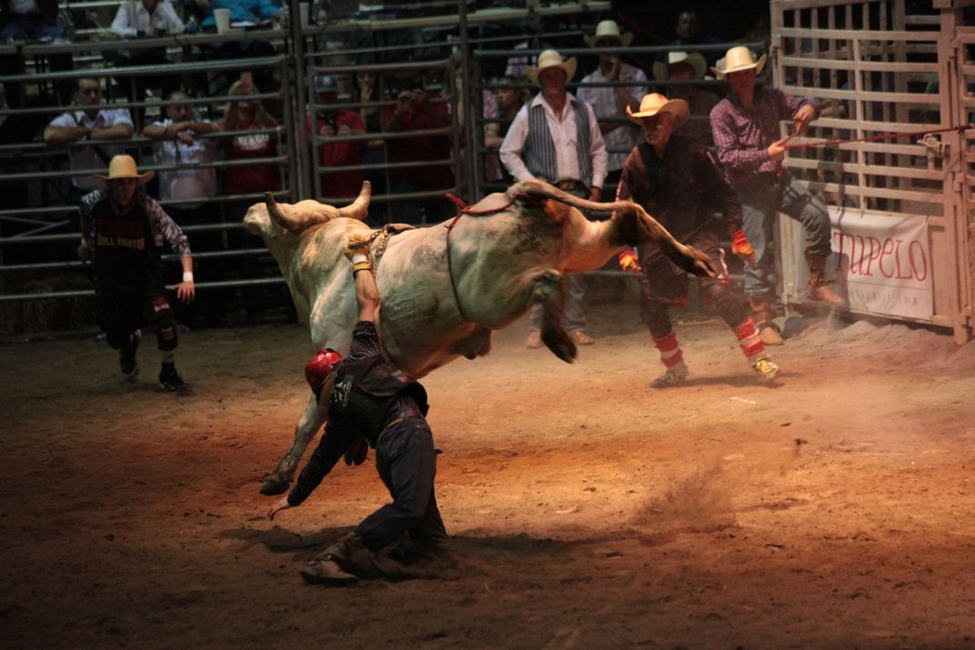 Bull Rider in Georgia | Smithsonian Photo Contest | Smithsonian Magazine