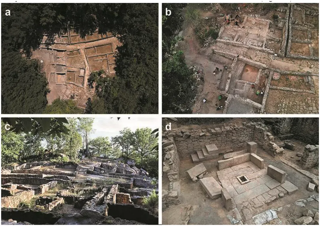 Ancient Romans Loved Fossils Just as Much as We Do, Even Though They May Not Have Fully Understood What They Were