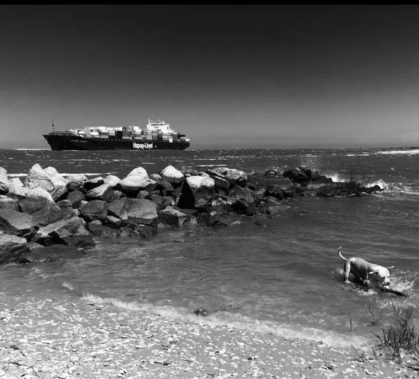 Waiting on the wake in Savannah Georgia thumbnail