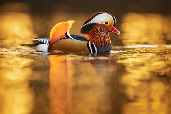 Light strip thumbnail