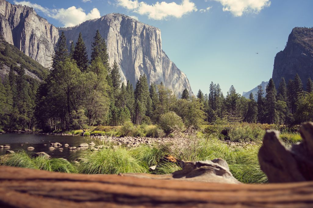Yosemite National Park