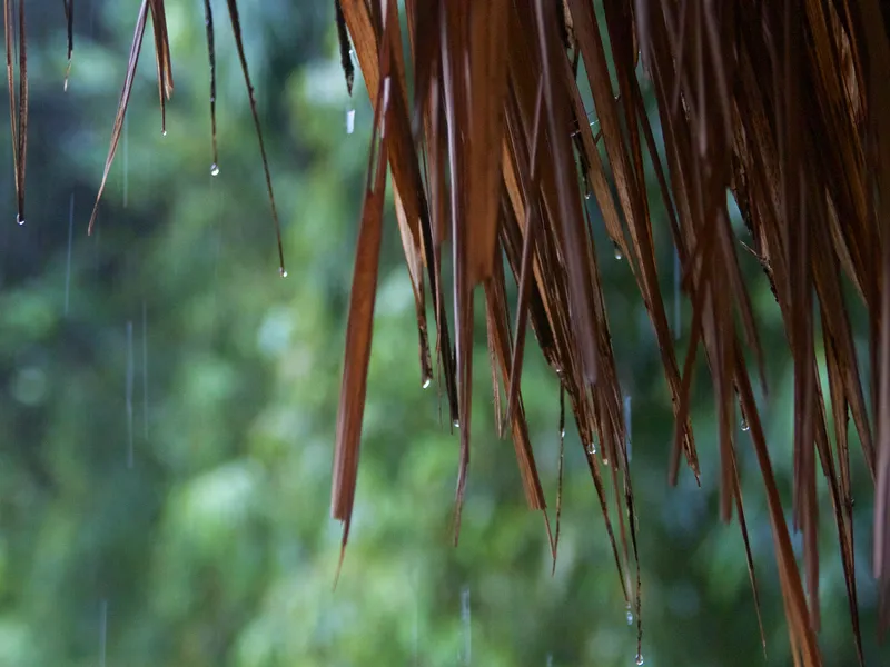 Monsoon rain in Vietnam Smithsonian Photo Contest Smithsonian Magazine