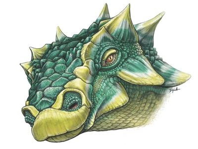 An illustration of the spiky new dinosaur Zuul. 