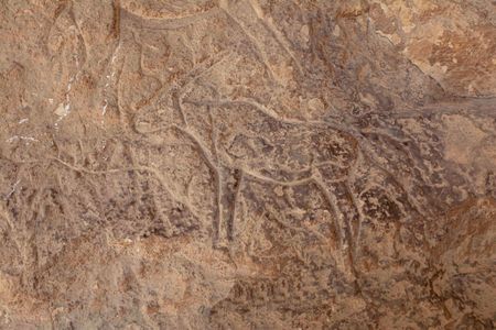 Archaeologists say this inscription of an ibex may be up to 5,000 years old.
