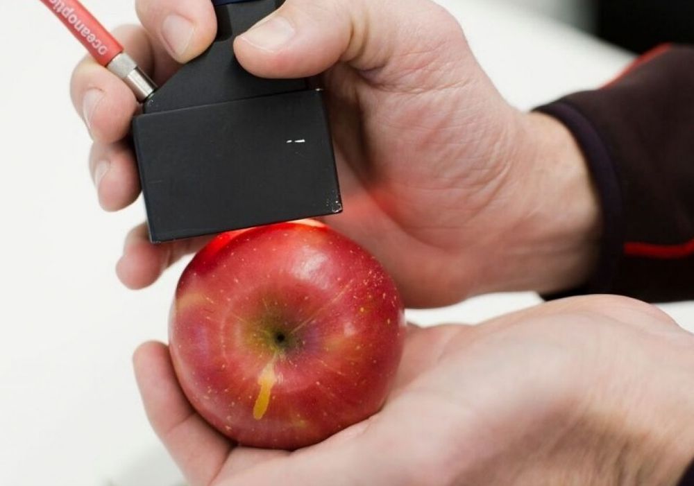 Spectrometer and apple