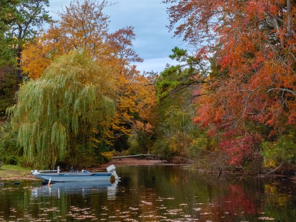 Autumn at Hammonton Lake Park, Hammonton, NJ - Panasonic Lumix DMC FZ300 thumbnail