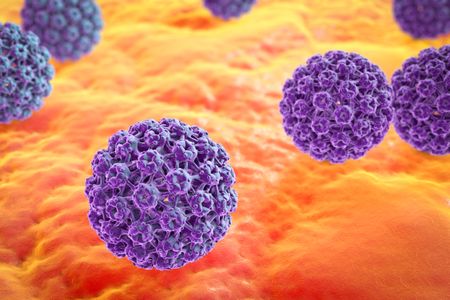 This is an illustration, not a picture, of a virus, because viruses are super small. But a new "VirusCam" promises to be able to see and track individual viruses, potentially leading to breakthroughs for human health.