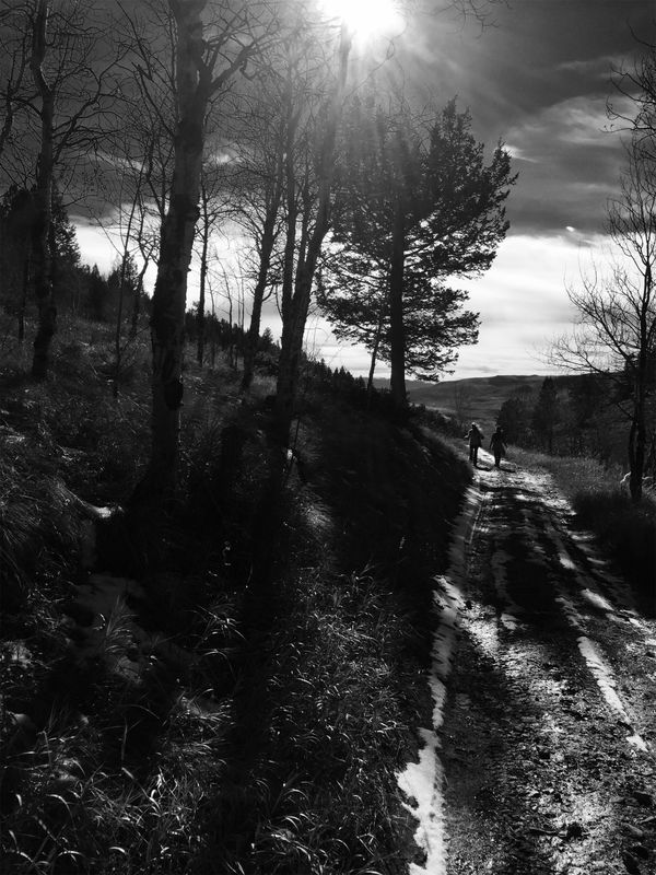 Two Girls on Coyote Trail thumbnail