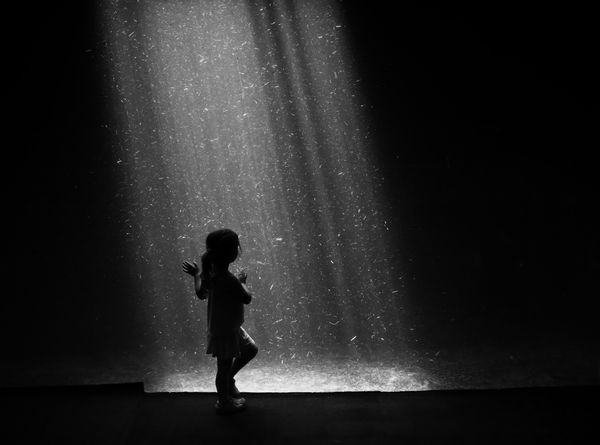This Photo was taken at The Adventure Aquarium in Camden New Jersey in front of the hippopotamus tank. The little girl was waiting excitedly for Buttons one of the hippos that lives in the tank. If you come visit the tank at the right time in the late afternoon the sunlight enters from the skylight above the tank and cast beautiful rays of sunshine through the murky water. I was lucky enough to be there and capture this image.