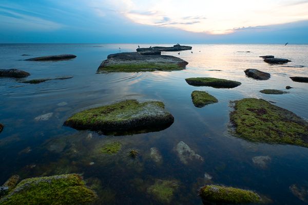 Twilight Solitude thumbnail