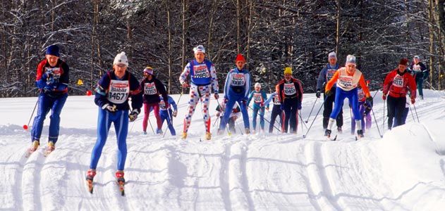 Vasaloppet skiers