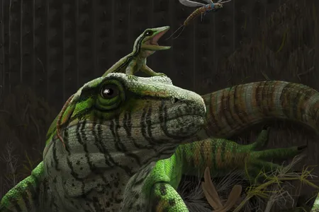An artist's illustration of Dendromaia unamakiensis, a 310-million-year old land-dwelling vertebrate that looked a like a modern monitor lizard, pictured here with its offspring