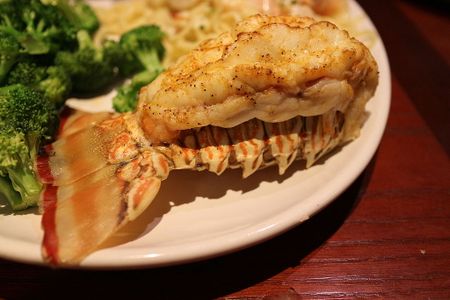 Rock lobster tail at a Red Lobster