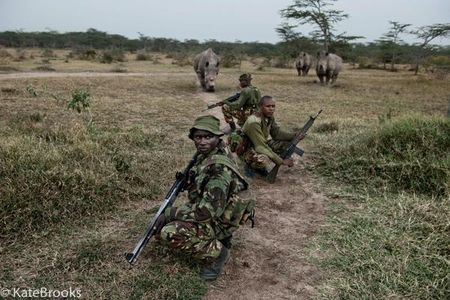 Only 5 Northern White Rhinos remain. A powerful image of three of them under guard by Kate Brooks.