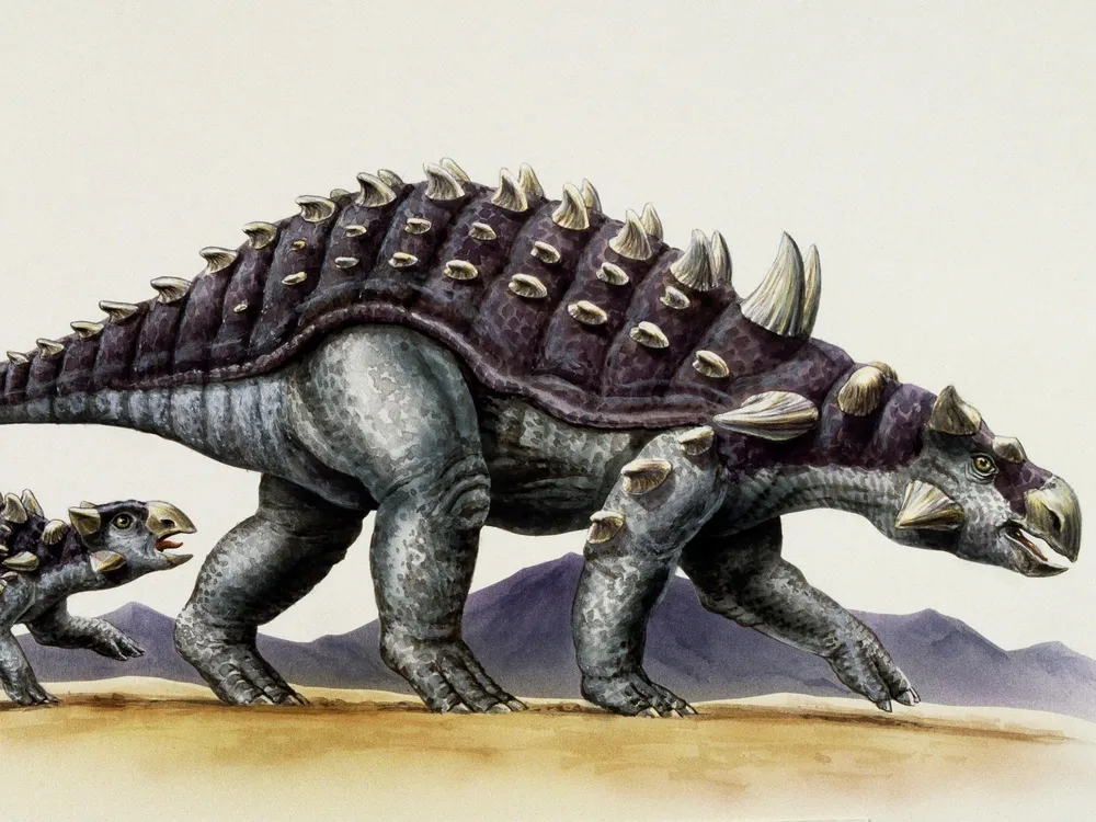 Ankylosaurs