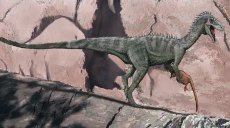 A speculative restoration of Australia's Cretaceous ceratosaur