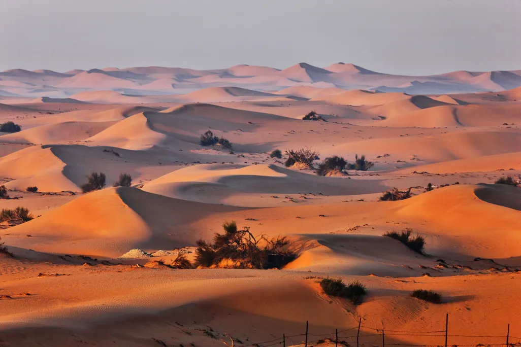 Sand dunes in Arabian desert
