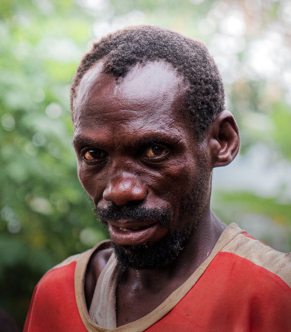 The last pygmies of Uganda thumbnail