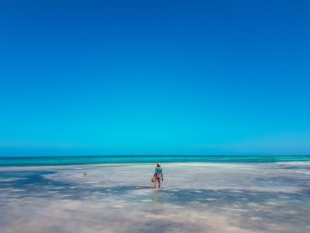 Belize seaweed farming pioneer Lowell 