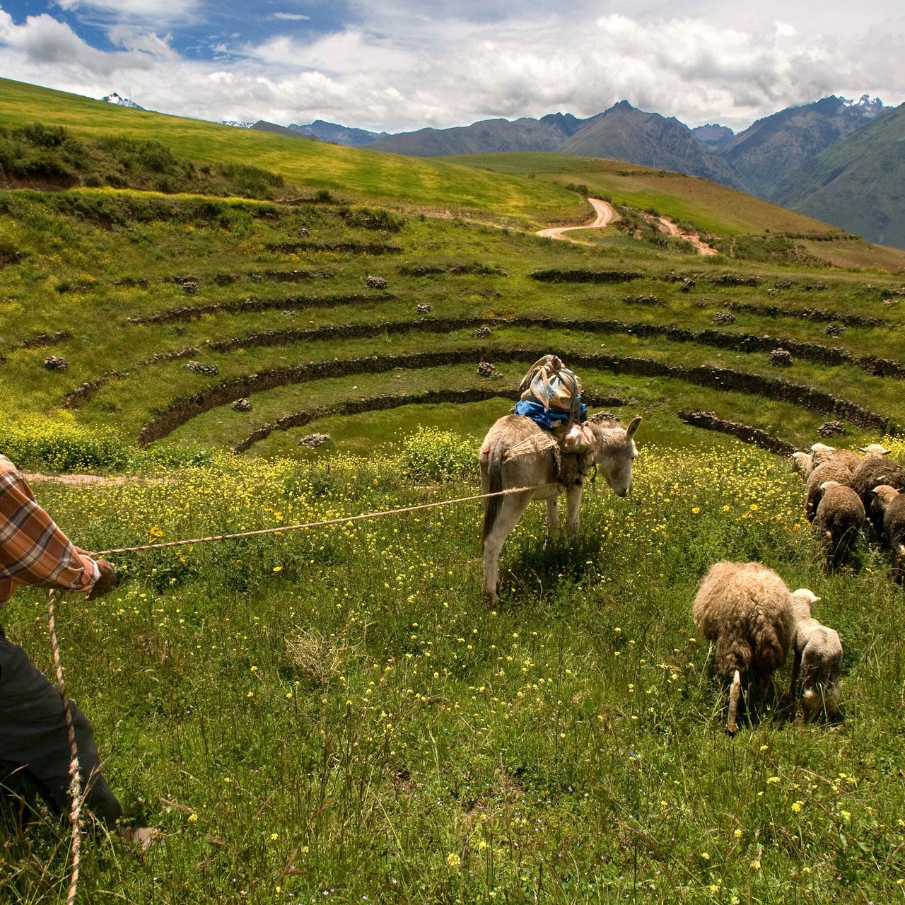 Ancient Civilization of the Andes: Means, P. A.