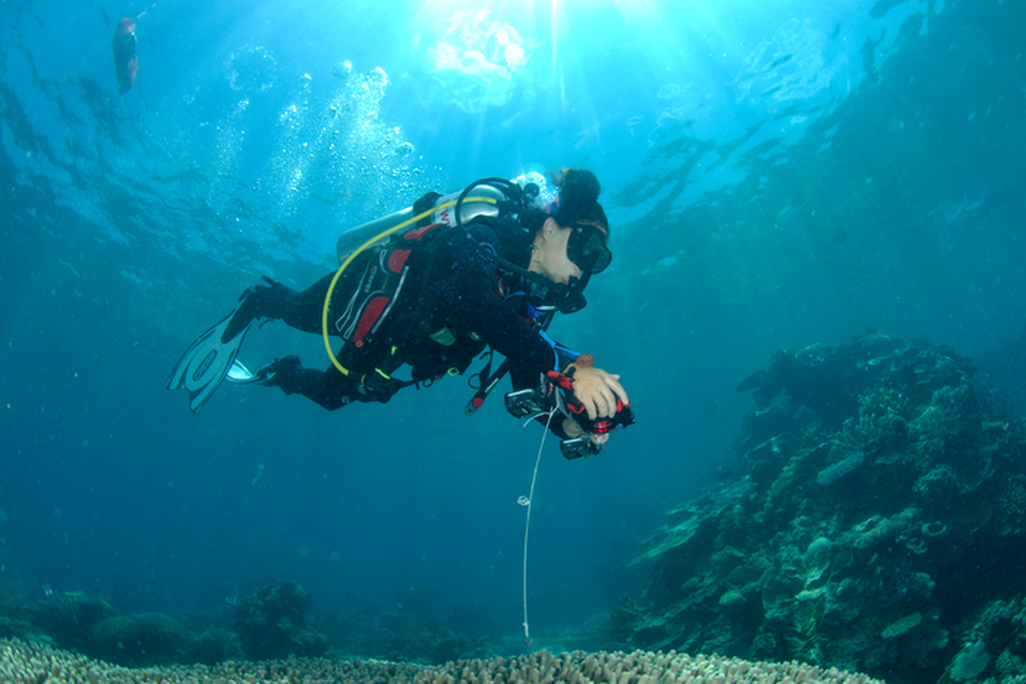 A scuba diver is seen holding a camera in in Far Northern Great Barrier Reef on Ashmore Bank