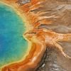 Five Big Changes Scientists Have Documented During Yellowstone National Park's 150-Year History icon