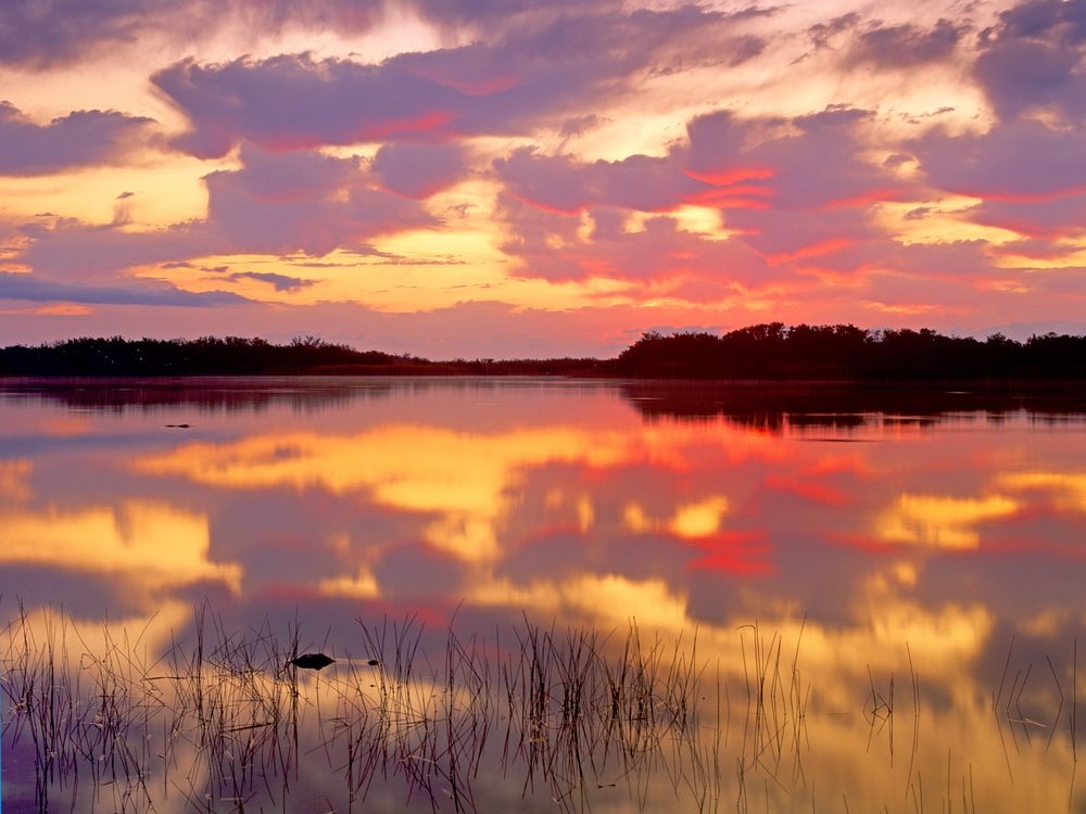 Everglades Sunset