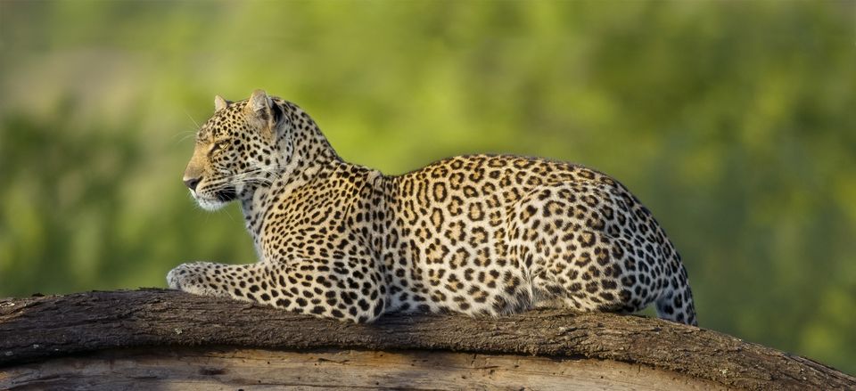 Exploring Africa by Private Jet | Smithsonian Journeys