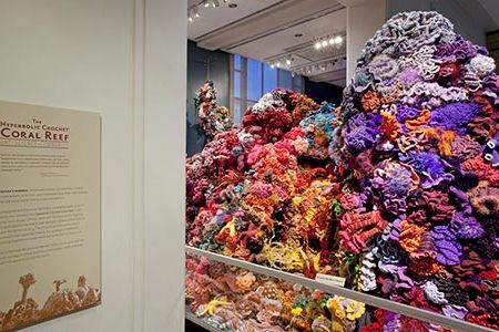 The "Hyperbolic Crochet Coral Reef" exhibit is now on view in Natural History's Sant Ocean Hall.
