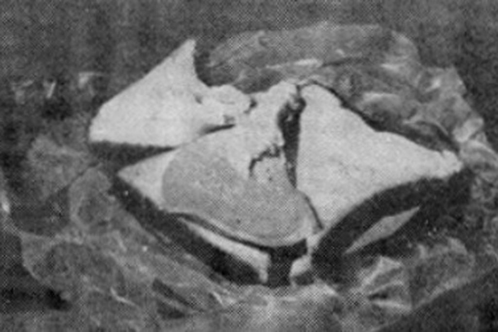 sandwich-fixed.jpg