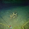 Historians Discover 'Remarkably Intact' Shipwreck, Undisturbed Beneath Lake Michigan for 142 Years icon