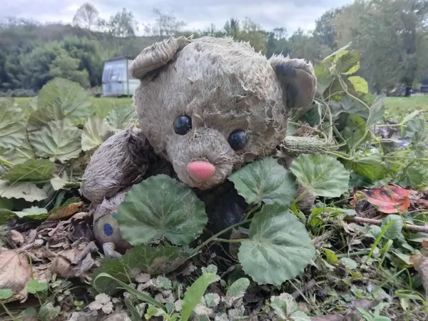 Where Do the Lost Things Go? thumbnail