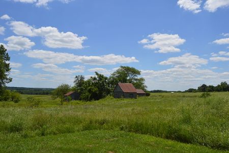 Overview of the former village of New Philadelphia, Illinois