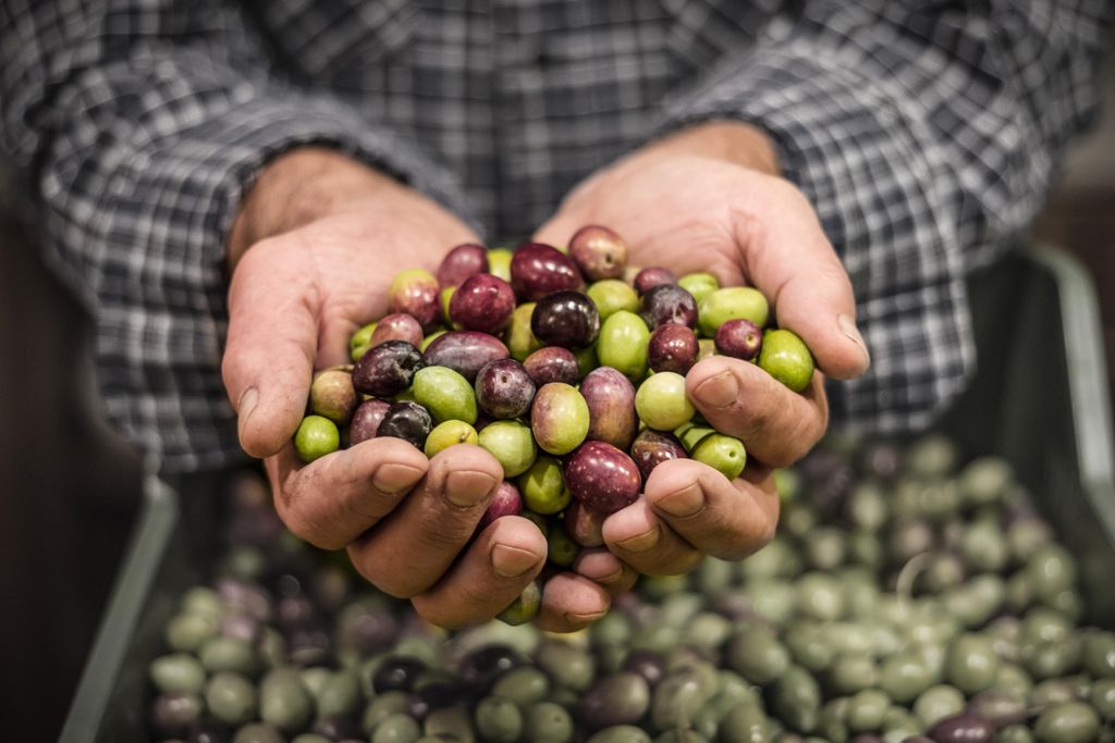 iStock-498333712.jpg