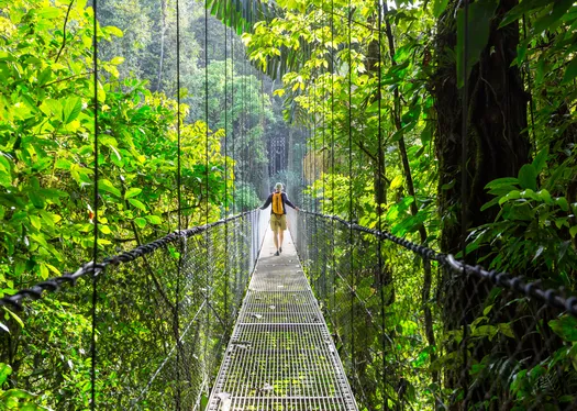 Costa Rica Treetops and Trails: An Active Journey