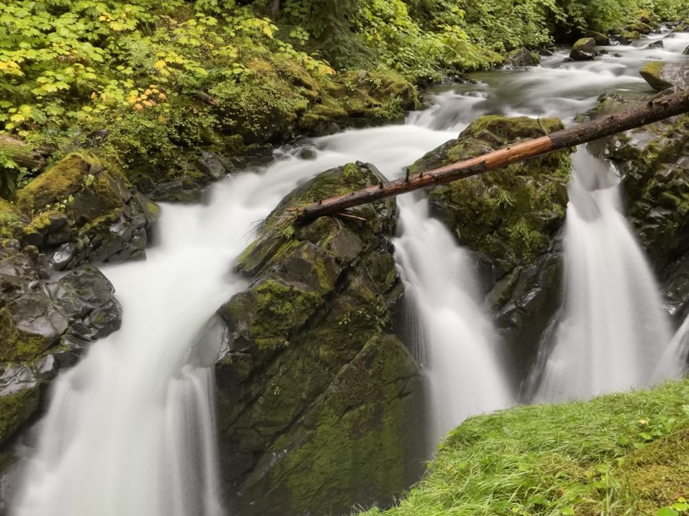 Moss and Motion - Solduc Falls, Olympic National Park | Smithsonian ...