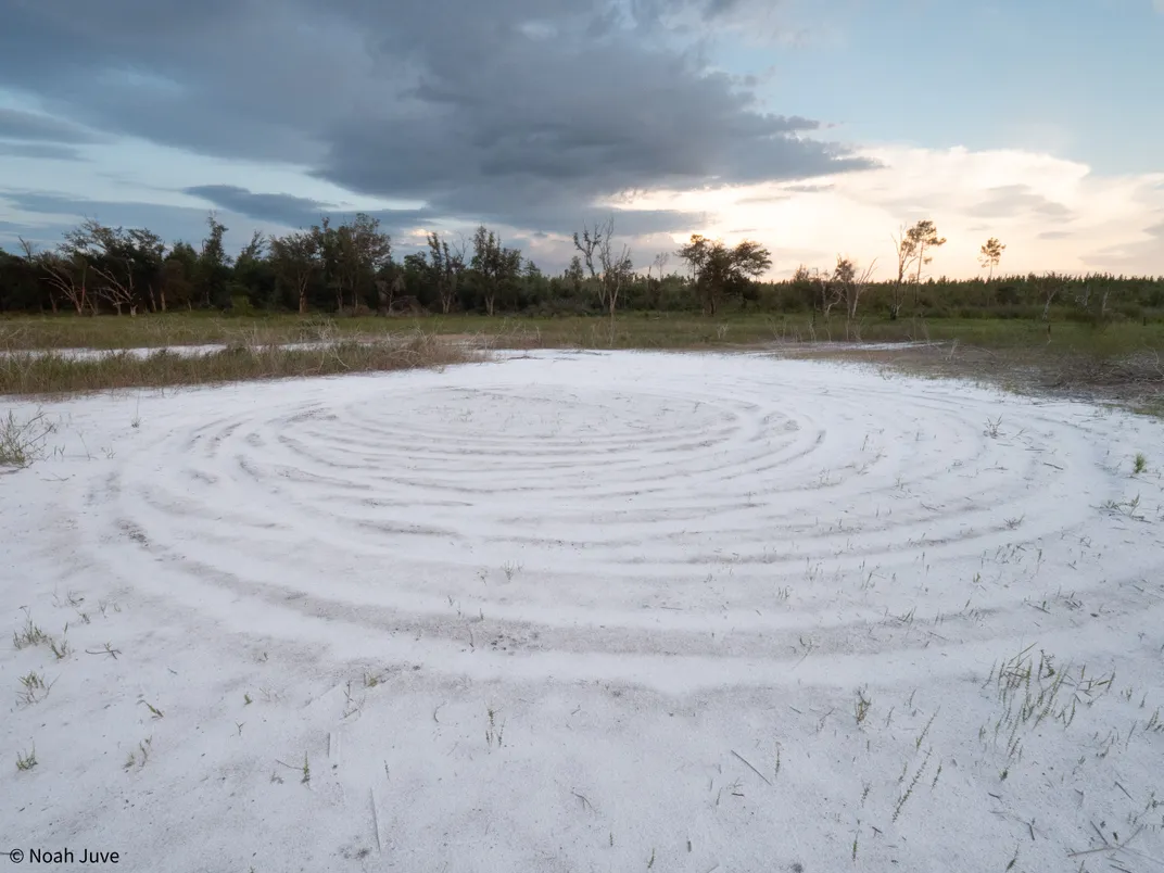 a sandy area with concentric circles in it, surrounded by grass