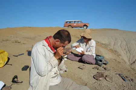 “I hope people of the future will look back on us and see that we learned the lessons of deep time,” says Smithsonian paleontologist Scott Wing.